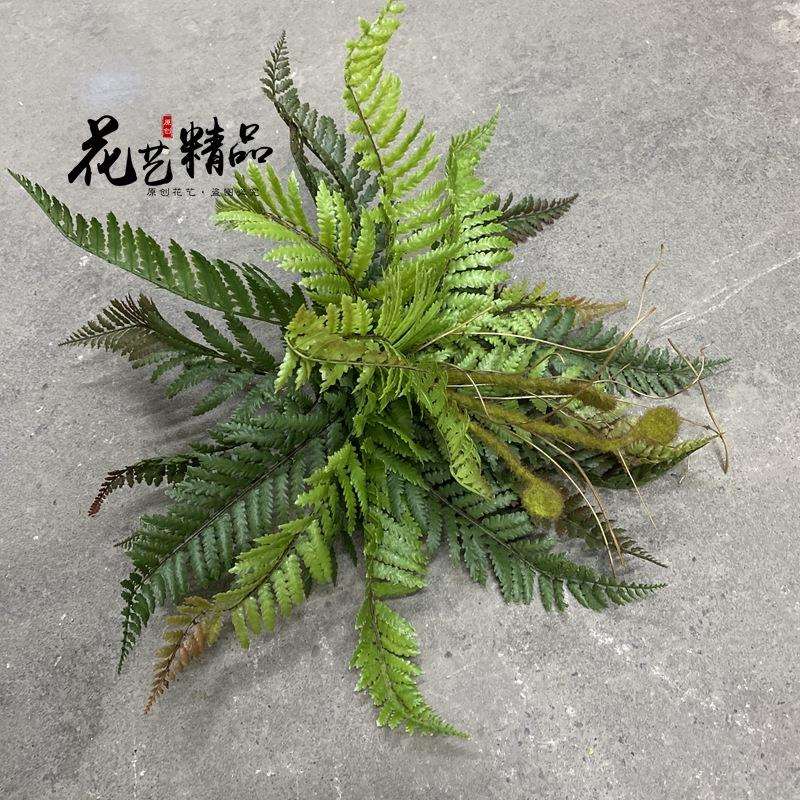 品质手大蕨插叶蕨草感蕨类植物造景绿62431249植壁挂墙面垂吊假高