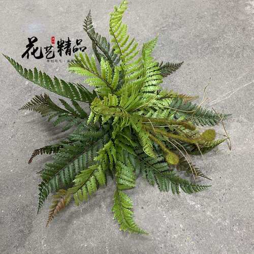 高品质手感大蕨叶蕨草蕨类植物造景绿植壁挂墙面垂吊假草插花设计