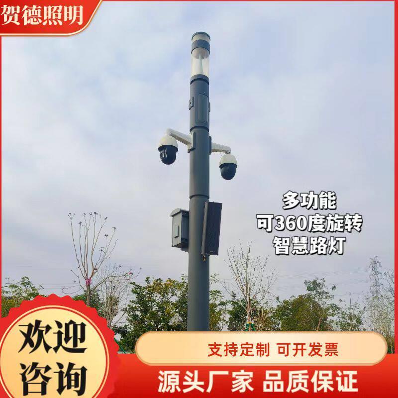 跨境直供源头厂家监控音响一键报警合杆非标定制智慧路灯庭院灯