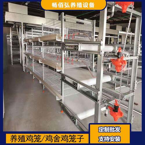 全自动肉鸡笼框架笼鸡舍养鸡场镀锌工艺自动除粪鸡笼可供外贸