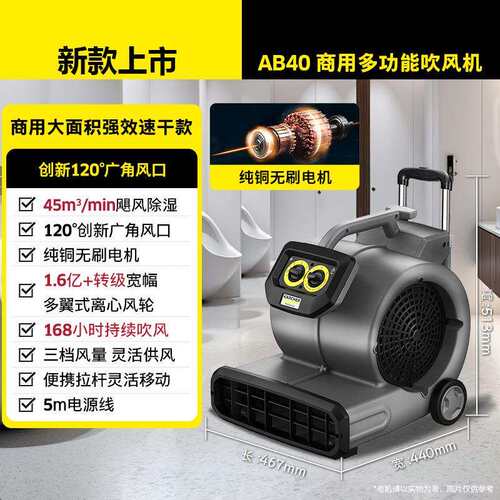 凯驰卡赫吹风机鼓风机AB40强劲风量纯铜无刷电机7*24小时连续吹风