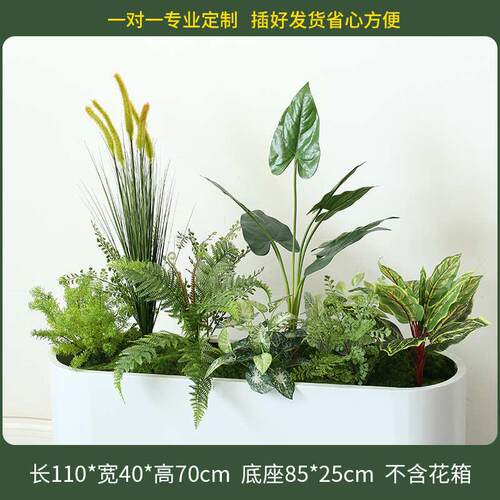 植物景观商场室内户外售楼处仿真餐厅隔断花绿搭配造景箱假植装饰