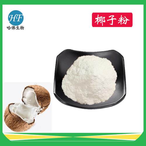 椰子粉 速溶椰子汁粉 厂家现货供应 椰子粉