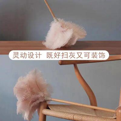 真鸵鸟毛掸子钢琴清洁不掉毛加密除尘扫加厚鸡毛掸车用打扫卫生
