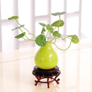 迷你瓷花瓶仿真绢花小荷叶金钱叶摆放花卉客厅餐桌面茶几摆放花卉
