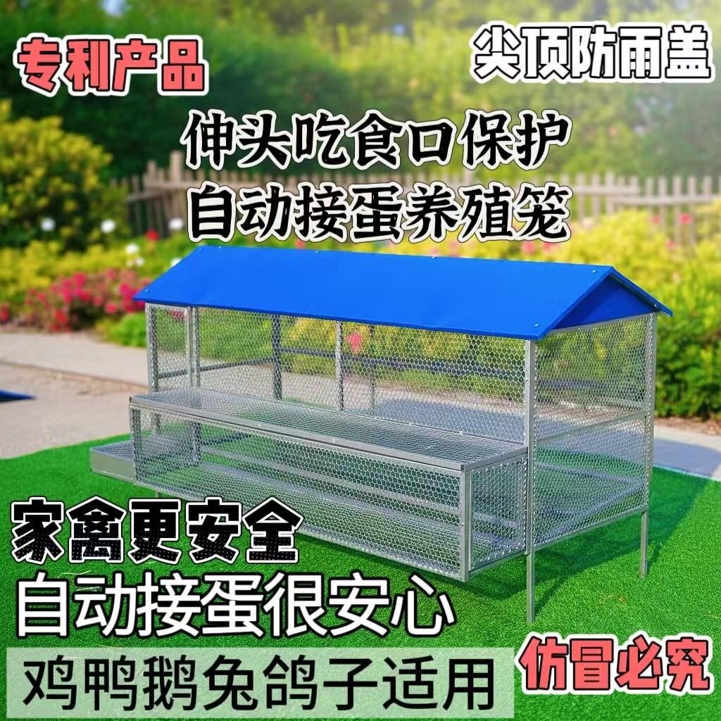 专利产品伸头吃食保护自动接蛋养殖笼防蛇防黄鼠狼尖顶防雨鸡笼