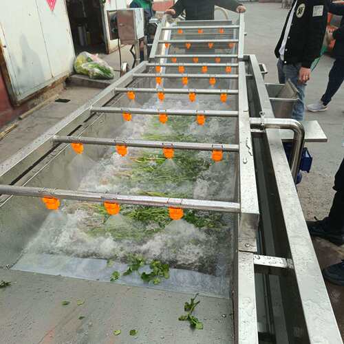 甜橙气泡清洗机 柠檬清洗流水线 黄桃雪梨清洗机器