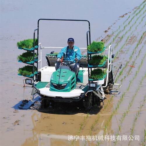 汽油乘坐式四轮6行水稻种植插秧机 高速下苗均匀不伤秧苗插秧机