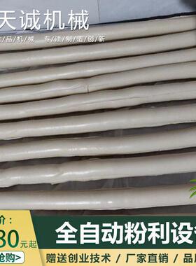 厂家供应商用自熟粉利机 广西横县水浸粑机