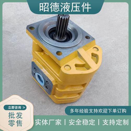 厂家定制非标齿轮泵多种规格运行稳定易保养