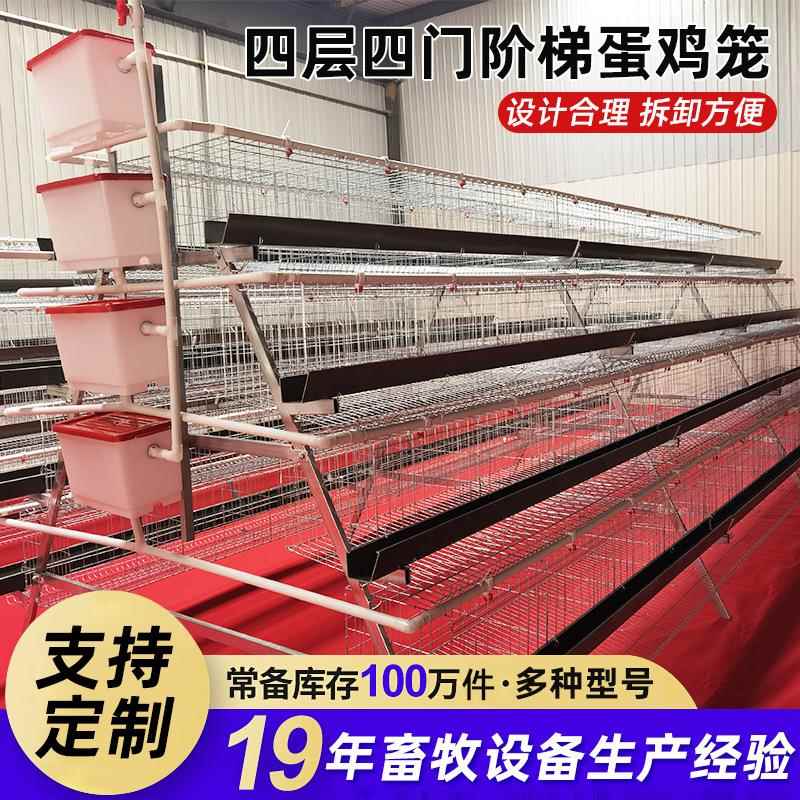 源头工厂加粗蛋鸡笼阶梯式双边鸡笼养殖场鸡笼子镀锌家用鸡舍鸡笼