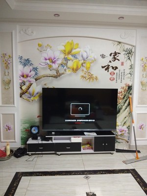 质量对比康佳65G7U和TCL65T6M入手哪款更好，区别优缺点对比揭秘是？