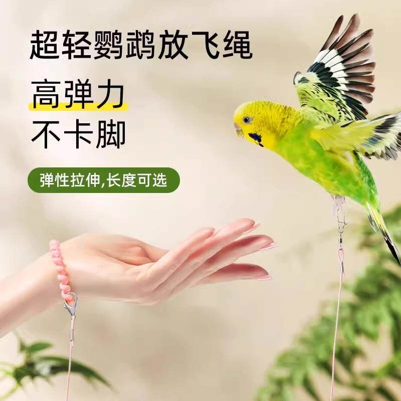 鹦鹉放飞绳不伤脚超轻溜鸟绳虎皮玄凤八哥脚环脚炼脖套飞行牵引绳
