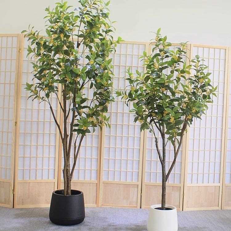 真绿仿植桂GRG花树客厅民宿餐饮酒店饰铺大型端落地装假树高月桂