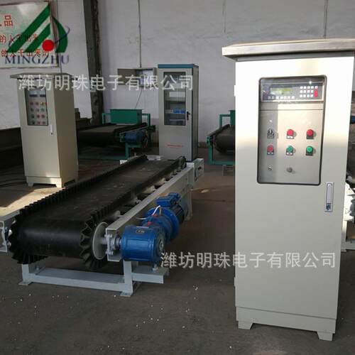 乐陵调速定量给料秤恒速皮带称块状物料输送秤电子皮带秤