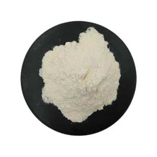 小球藻生长因子OD12 水溶 小球藻生长因子OD1200 小球藻提取物