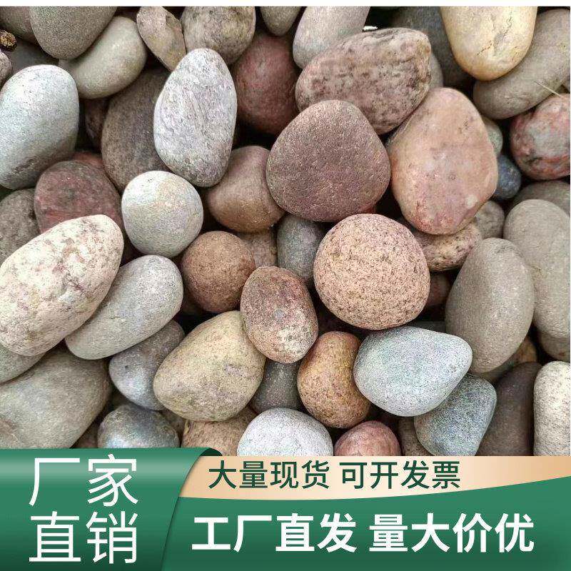 广东河卵石鹅卵石滤料变电站变压器用河卵石园林绿化造景河滩石