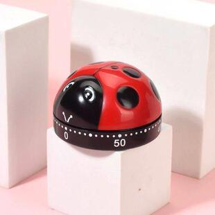 Ladybug Kitchen Timer Digital Kitchen Timers Large