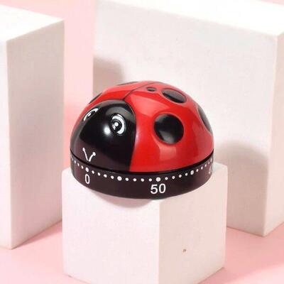 Ladybug Kitchen Timer Digital Kitchen Timers Large
