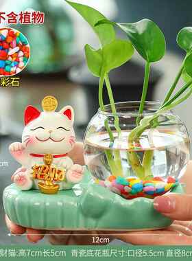 正品居盆饰品办家公桌面位装饰摆饰水培插花器皿花瓶花水培绿植黄