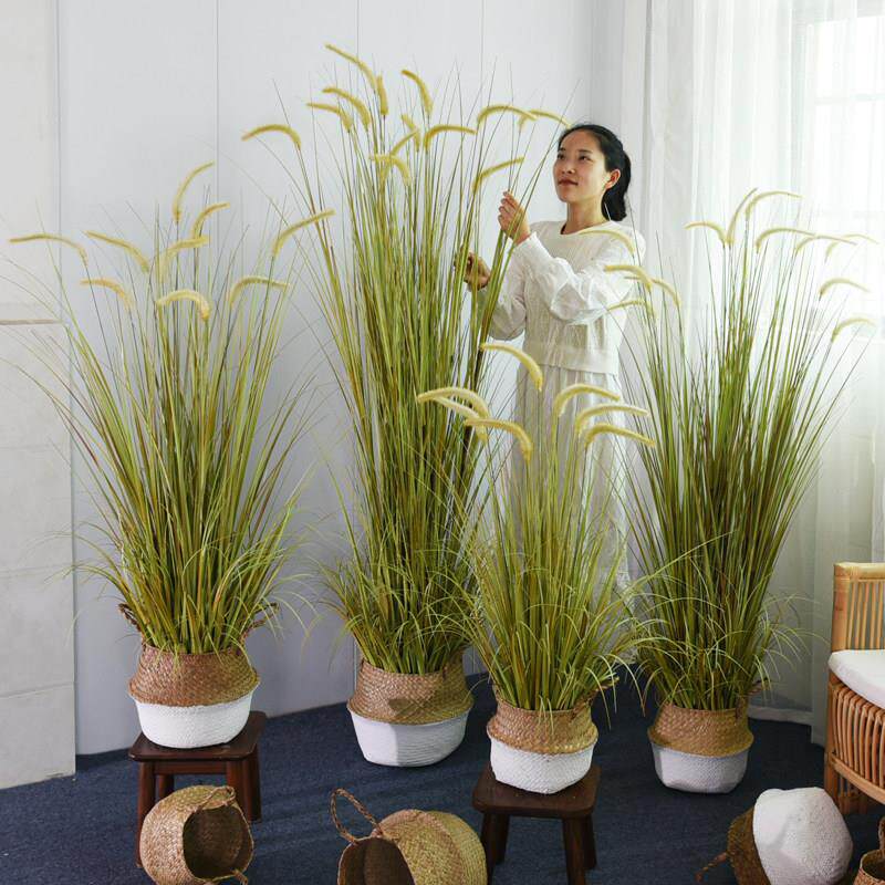 彷真绿色植物狗尾巴草假芦苇草落地盆栽装饰盆景室内客厅植物造景