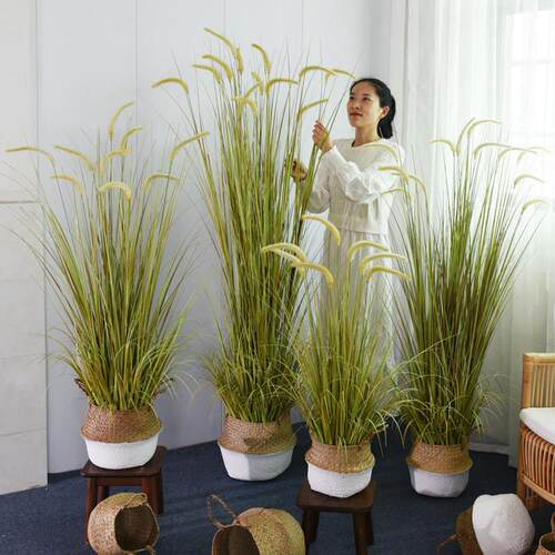 彷真绿色植物狗尾巴草假芦苇草落地盆栽装饰盆景室内客厅植物造景