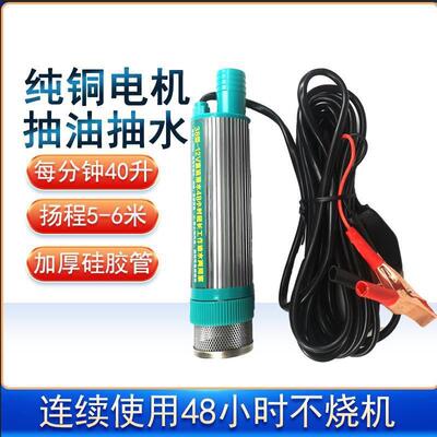 38型新款电动抽油泵12V24V220V柴油抽油抽水泵浇菜抽酒尿素泵