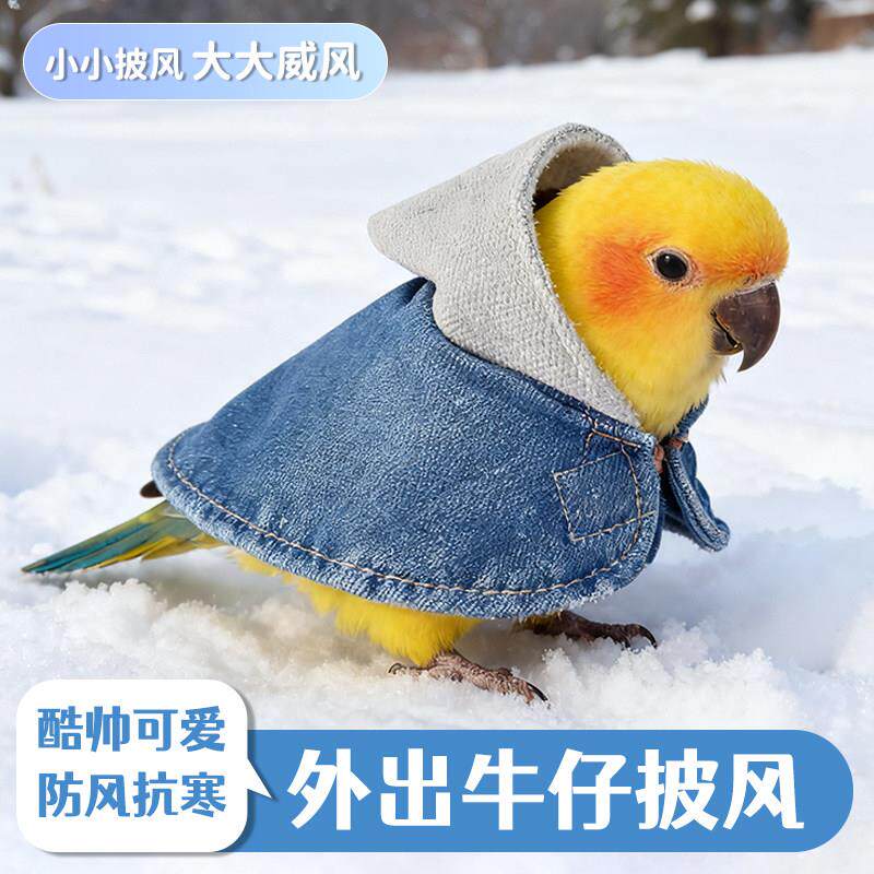 鹦鹉衣服披风斗篷加厚外出服虎皮牡丹玄凤小太阳和尚防风保暖服饰