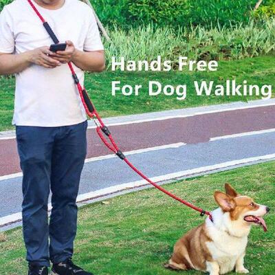 Dog Leash P Chain Hands Free Dog Leash Reflective Leashes