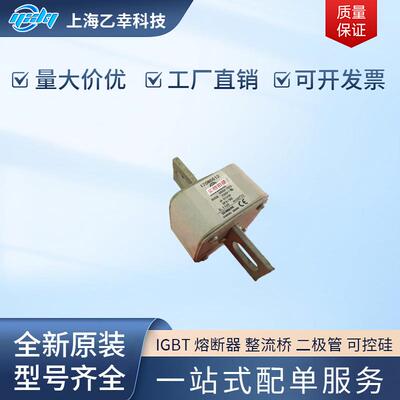 巴斯曼熔断器 170M6616 170M6617 170M6618 170M6619 170M6620