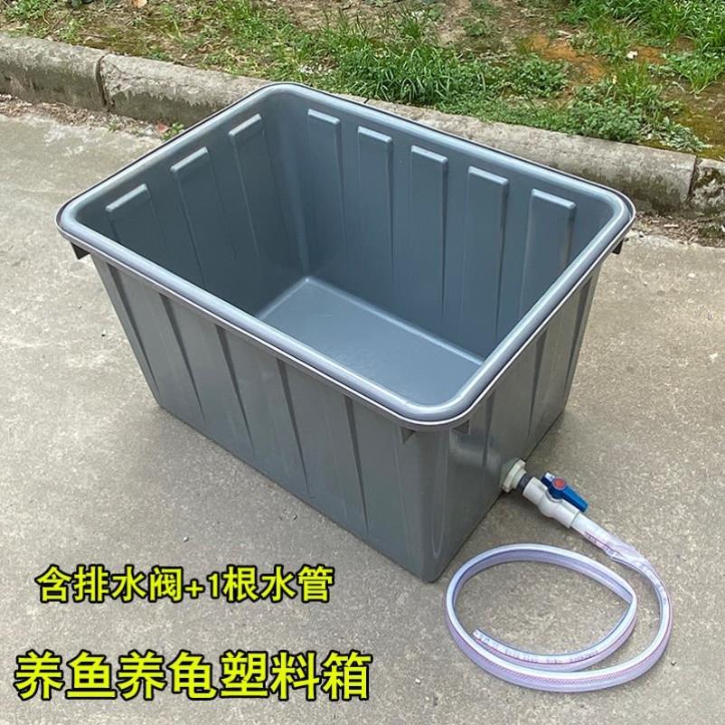 加厚塑料水箱长方形养鱼箱大水桶家用养殖箱窄长乌龟缸大号带排水