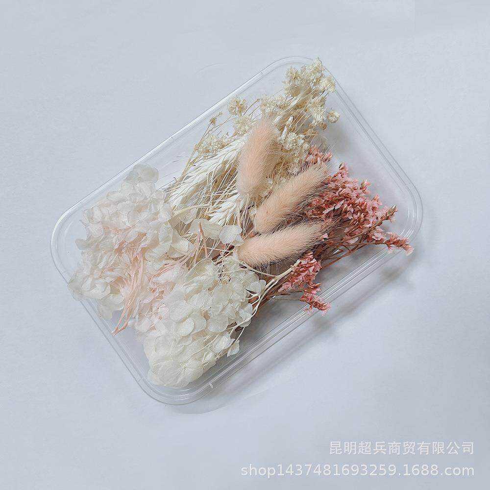 【TH系列花盒】团扇干花材料包DIY花材香薰蜡烛干花材料