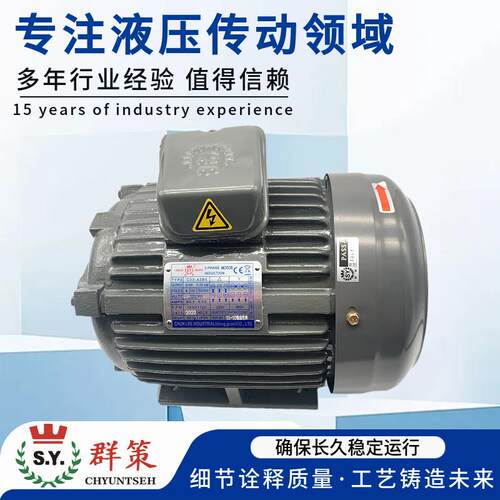 台湾SY群策C05-43BO C02/C01/C7B/C10 -43BO内轴电机 3.75/2.25KW