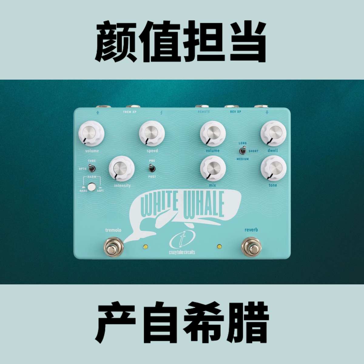 真弹簧混响White Whale Crazy Tube Circuits  希腊产 单块效果器