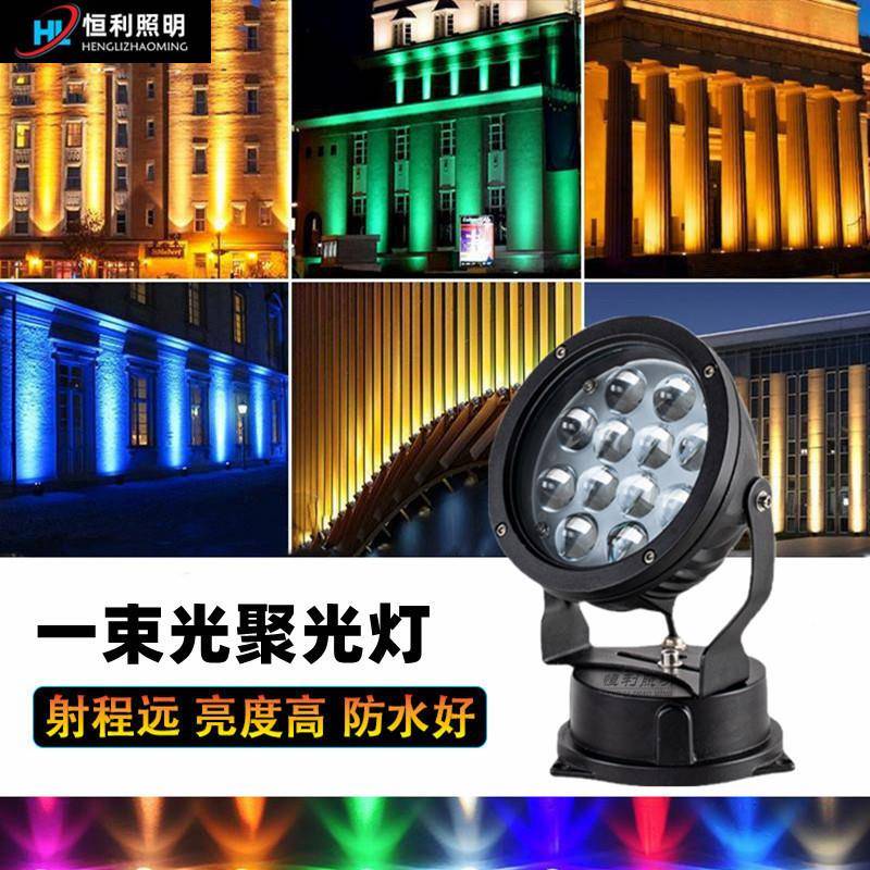 LED一束光射灯80W别墅罗马柱子聚光投射灯户外防水酒店外墙洗墙灯