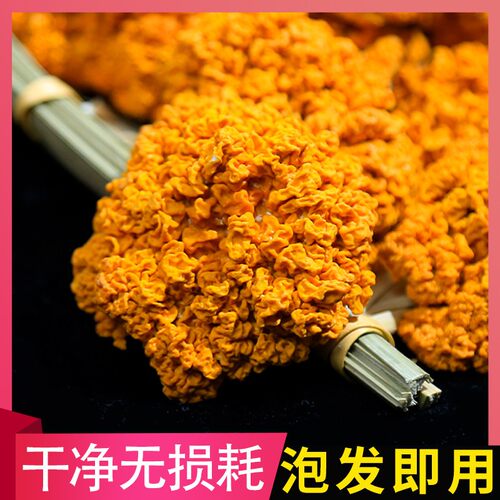 金耳菌干货500g非新鲜菌菇大朵黄木银耳云南特产刺身凉拌食材
