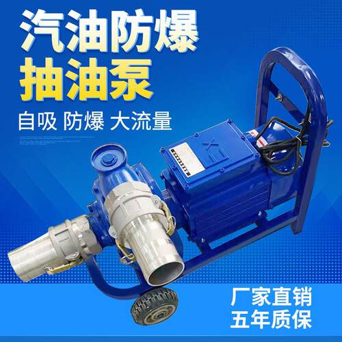 准王电动大流量抽油泵12v24v220v防爆柴油汽油防爆加油卸油导油泵