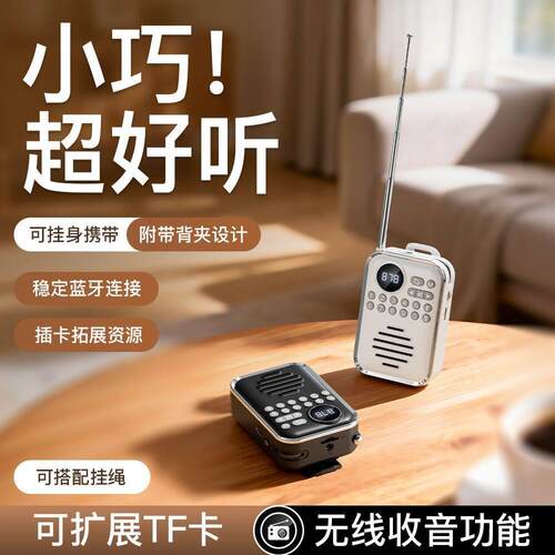 P70新款收音机无线蓝牙音箱便携小型插卡随身小音箱AR