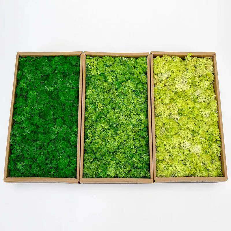 仿真绿植假绿植造景永生苔藓微景观仿真苔藓青苔假苔藓植物墙装饰