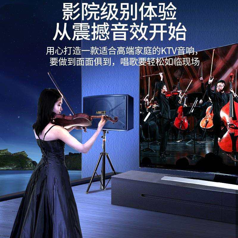 6寸 8寸 10寸ktv音响套装 家用卡拉OK 会议室舞蹈室壁挂音箱