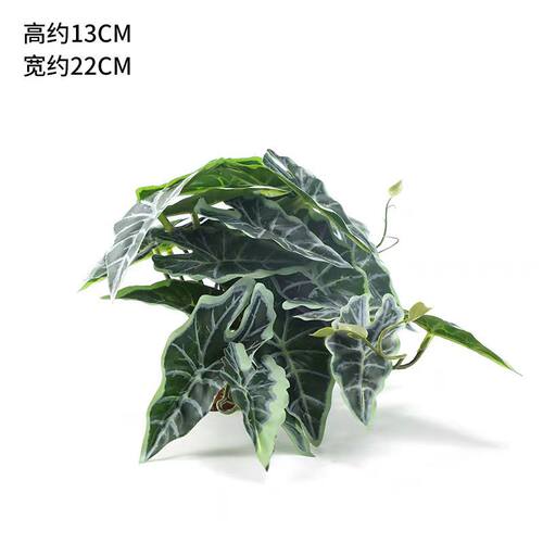 爬虫箱造景雨林沙漠仿真植物爬宠水龟箱乌龟缸陆龟箱造景绿色蜥蜴