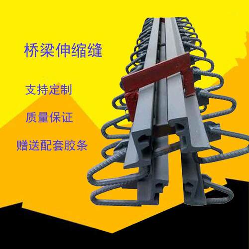 公路桥梁伸缩缝按图模数式D型C型异型钢装置防撞桥梁专用