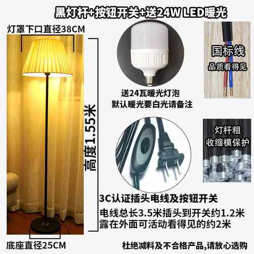 高档落地灯意客厅卧室床头灯现代创温馨装饰LED遥喂控发奶落沙地