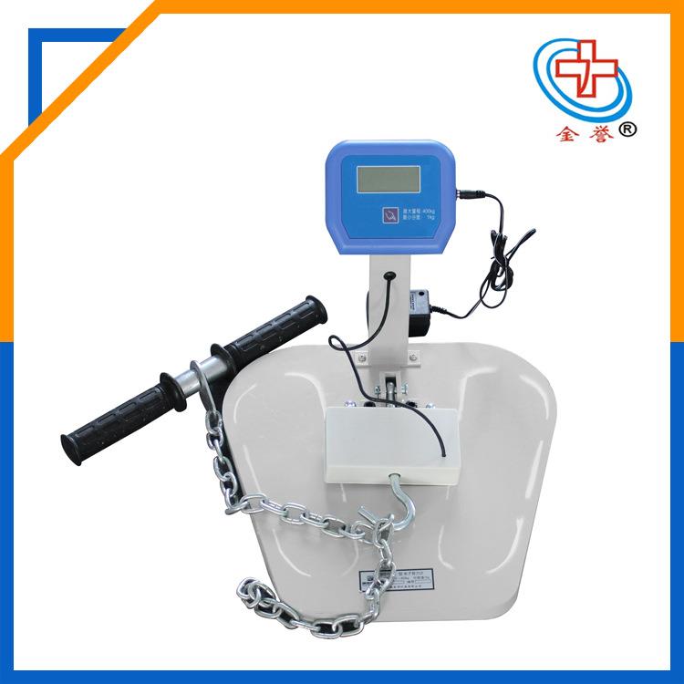 电子显示背力计力量测试仪康复功能评估器体质测试器材