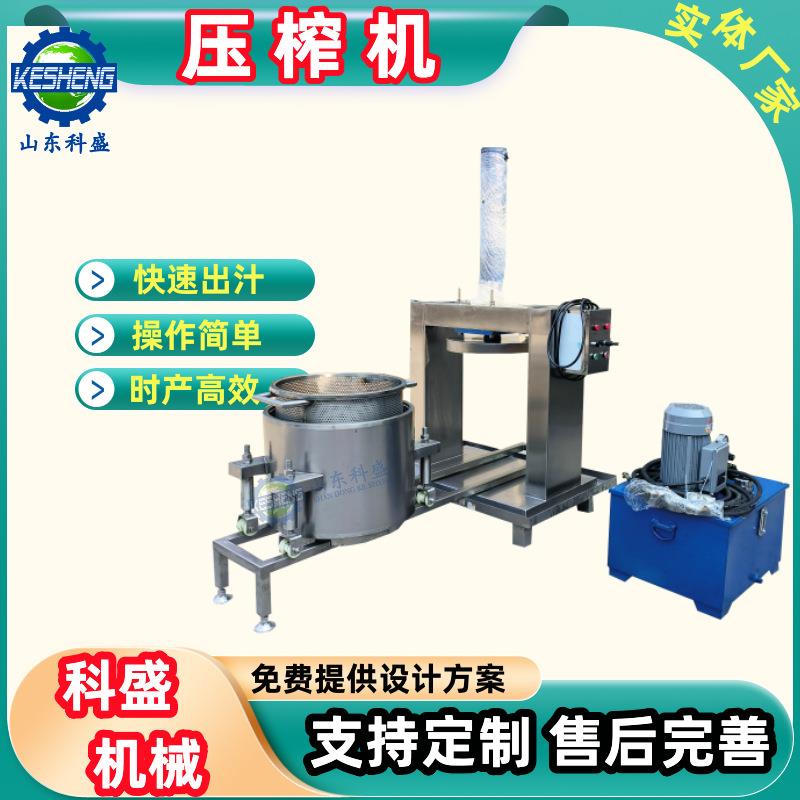 果汁压榨机贵州刺梨鲜果榨汁机生姜大蒜粉碎泥浆原汁压榨机