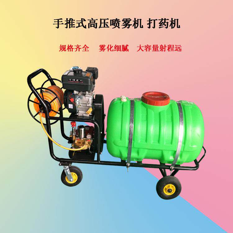 大棚杀虫喷雾器消毒设备 背负式汽油20L的打机绿化带灭菌喷机