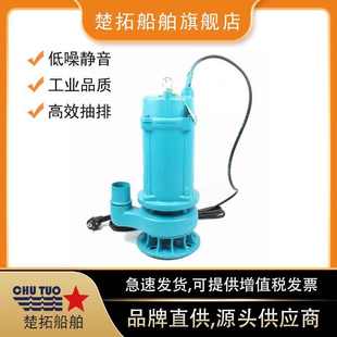 电动潜水泵IMPA591623井水泵污水泵抽水泵农用灌溉水泵110V