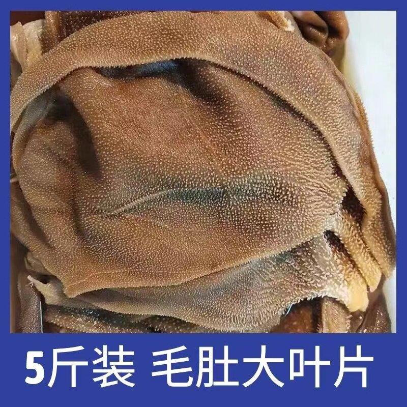 毛肚新鲜整个5斤商用牛百叶黑千层肚大叶片牛肚火锅食材黑毛肚