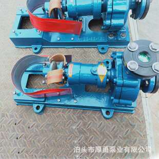3千瓦R6Y50 IUA10型热油泵高温管2道输送油泵 3导
