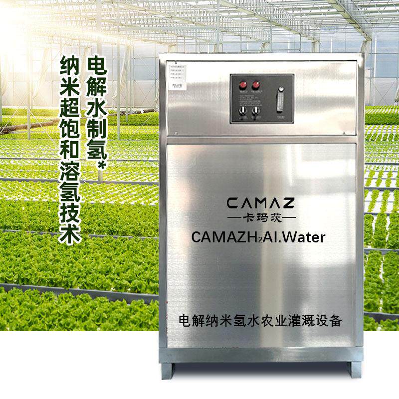 1吨/小时电解纳米氢水设备农业灌溉电解水制氢 富氢水养殖 种植